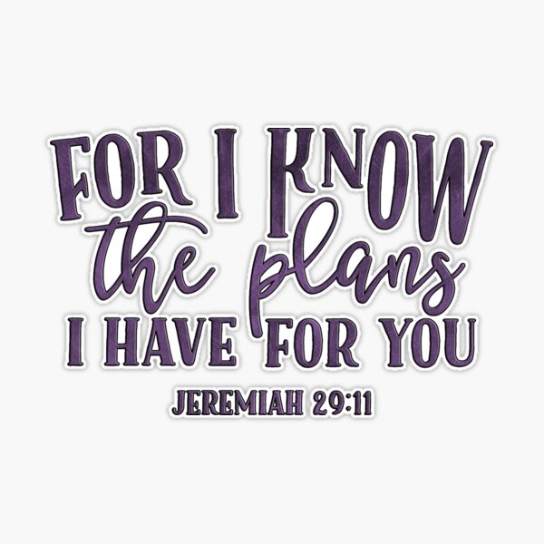 I Know the Plans Purple Stainless Steel Water Bottle - Jeremiah 29:11