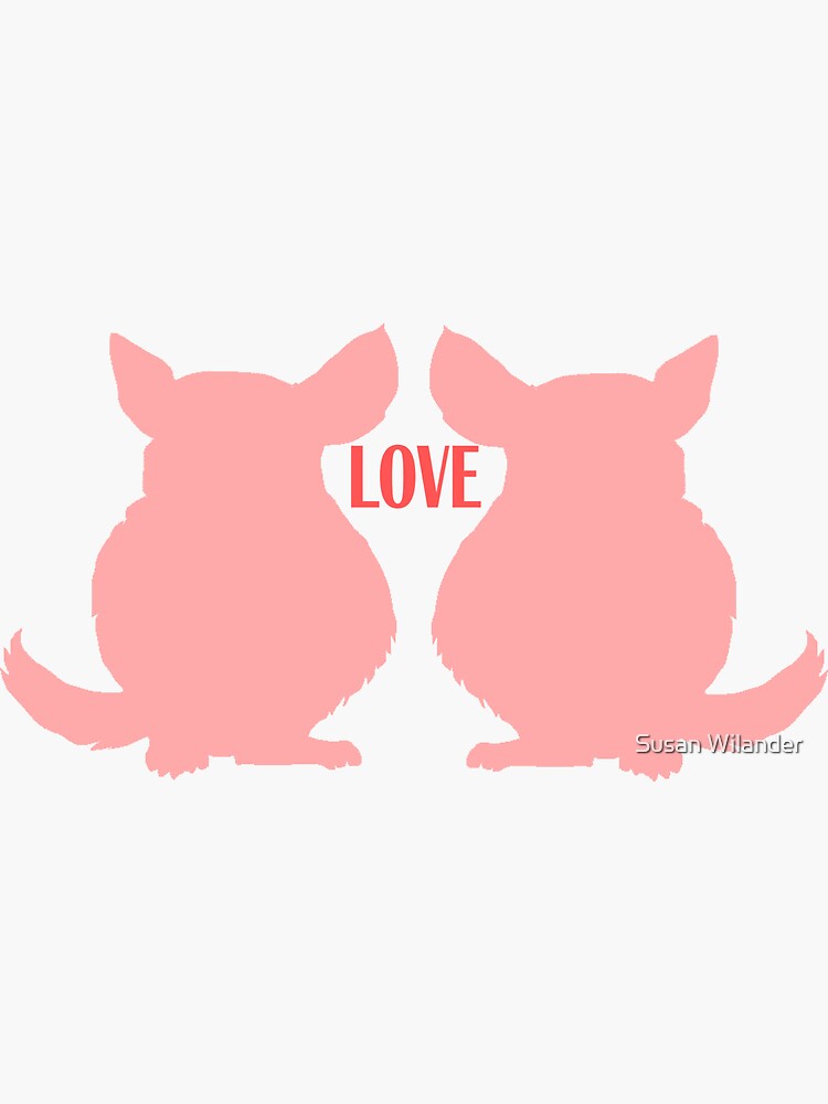 Chinchilla Love by susanw