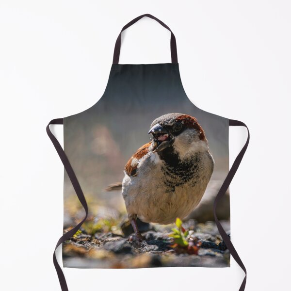 Item preview, House sparrow is hungry designed and sold by Rico20023.