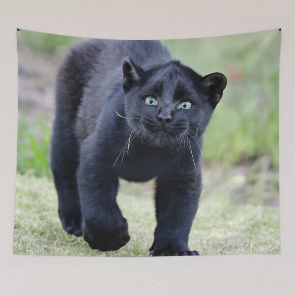 Item preview, Baby Puma designed and sold by ConfuciusNinja.
