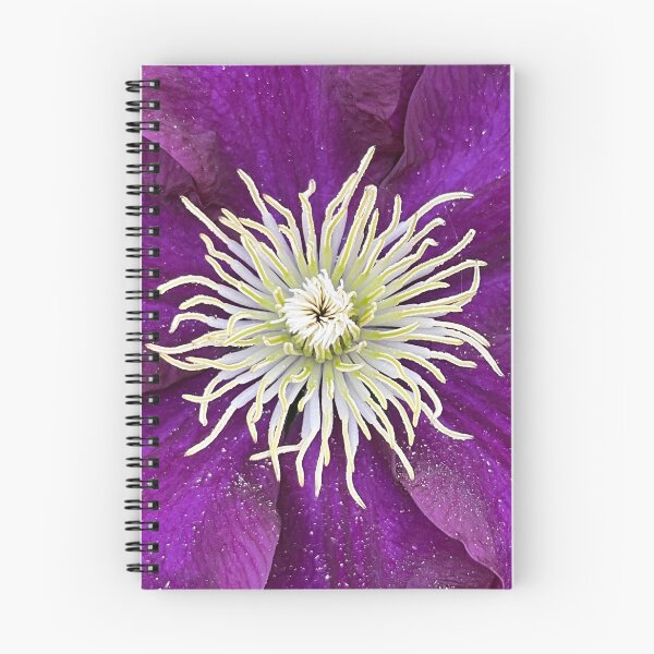 Artikelvorschau, Clematis Viticella aufrecht entworfen und verkauft von Ponted.
