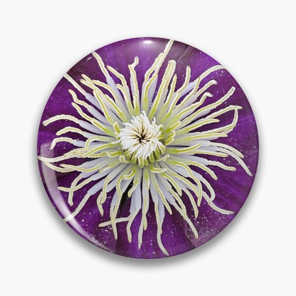 Item preview, Clematis Viticella upright designed and sold by Ponted.