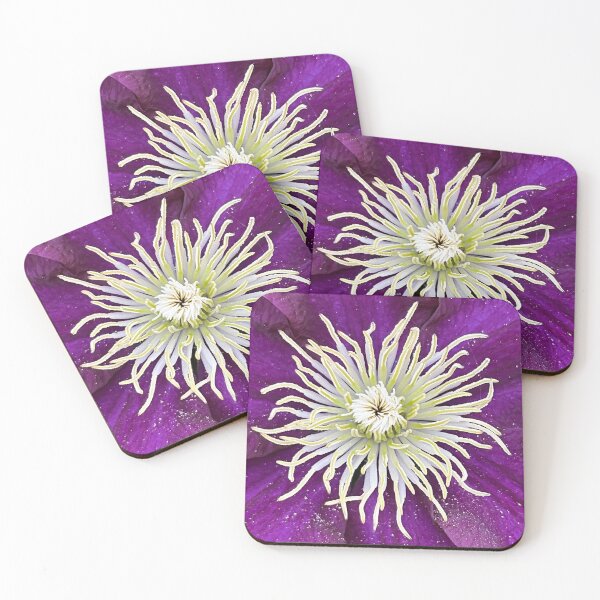 Item preview, Clematis Viticella upright designed and sold by Ponted.