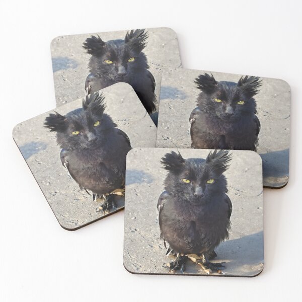 Item preview, Owl kitty designed and sold by ConfuciusNinja.