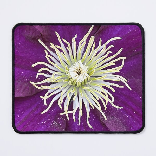 Item preview, Clematis Viticella horizontal designed and sold by Ponted.