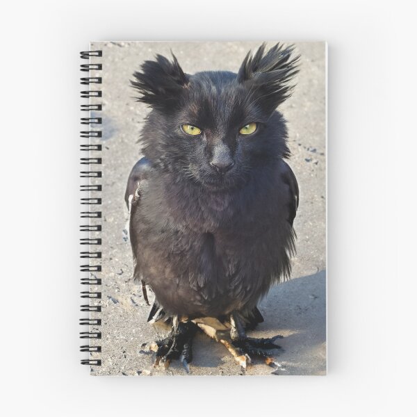 Item preview, Owl kitty designed and sold by ConfuciusNinja.