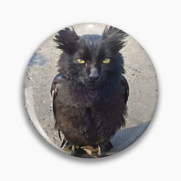 Item preview, Owl kitty designed and sold by ConfuciusNinja.