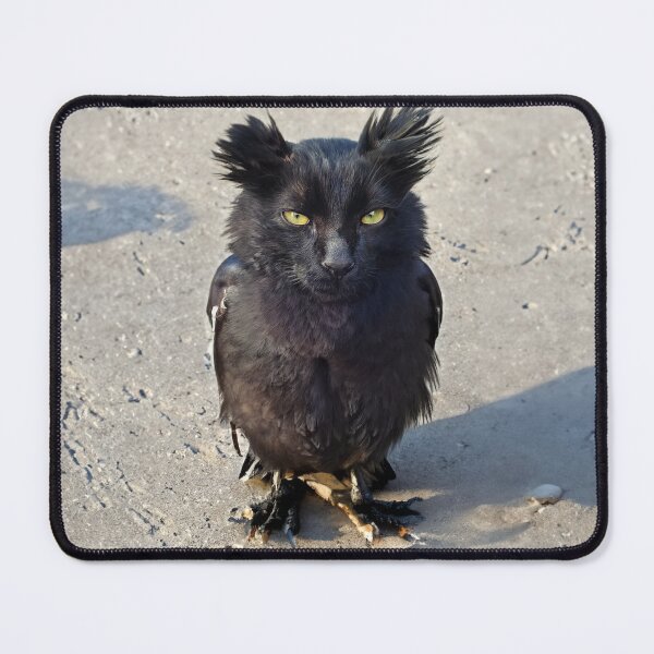 Item preview, Owl kitty designed and sold by ConfuciusNinja.
