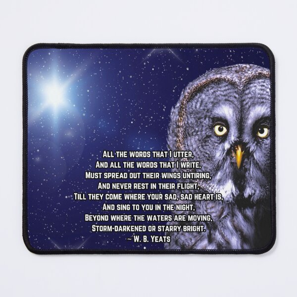 Item preview, Where My Books Go designed and sold by Emilyromrell.