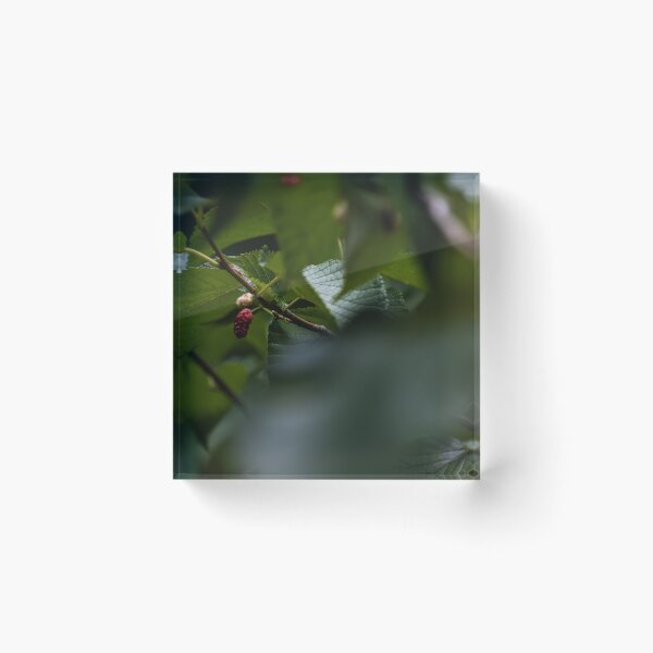 Item preview, D Lawson Photography - Mulberry  designed and sold by Danielle Lawson.