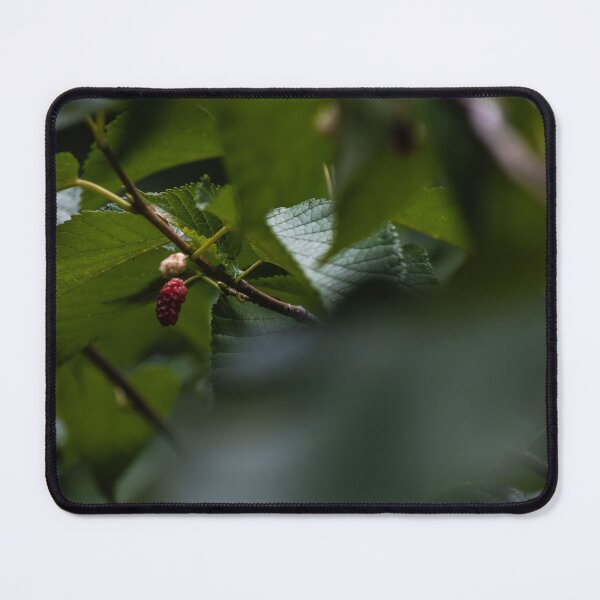 Item preview, D Lawson Photography - Mulberry designed and sold by Danielle Lawson.