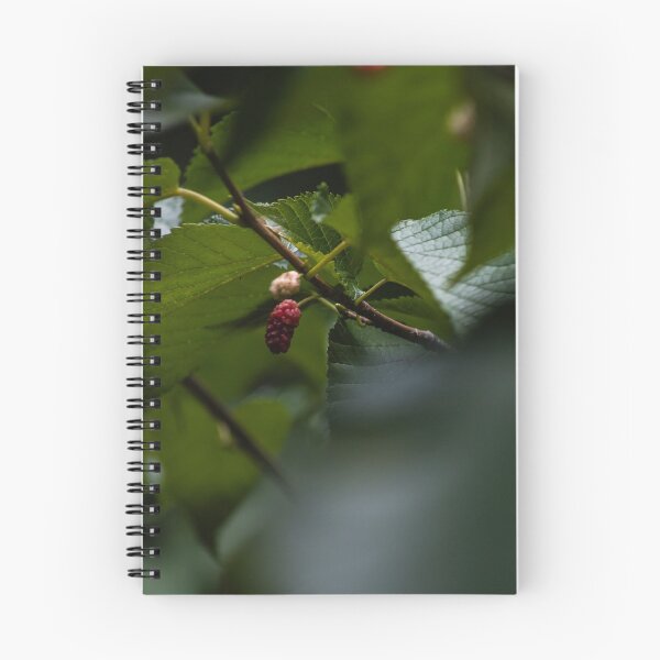 Item preview, D Lawson Photography - Mulberry  designed and sold by Danielle Lawson.