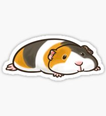 Pancake Sticker