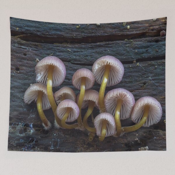 Item preview, We See You — Mushroom Lover designed and sold by Miru-mir.