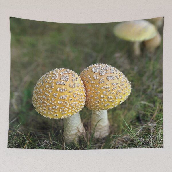 Item preview, Fungi Love— Mushroom Lover designed and sold by Miru-mir.