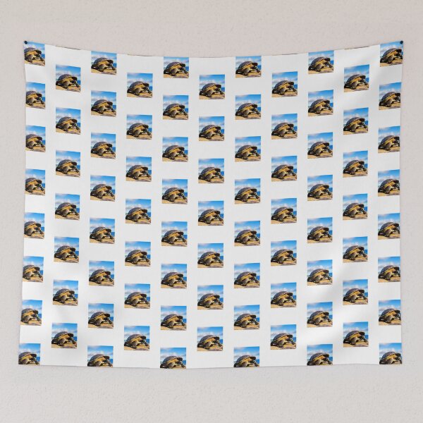 Item preview, Galapagos Tortoise In Galapagos designed and sold by asbno19.