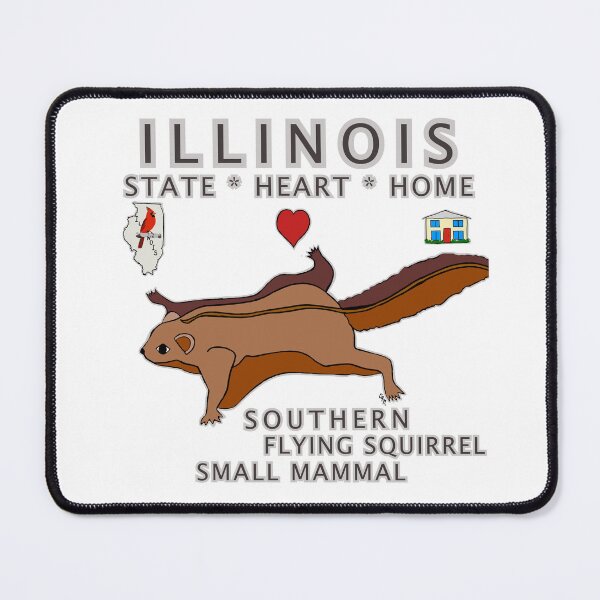 Item preview, Illinois - Southern Flying Squirrel - State, Heart, Home - small mammal designed and sold by Colleen Macomber.
