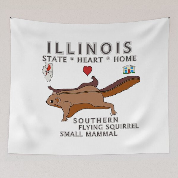 Item preview, Illinois - Southern Flying Squirrel - State, Heart, Home - small mammal designed and sold by Colleen Macomber.