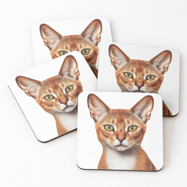 Artikelvorschau, Abyssinian Feline Apparel - Realistic Cat Breed Design for Playful Cat Lovers entworfen und verkauft von DooodleGod.