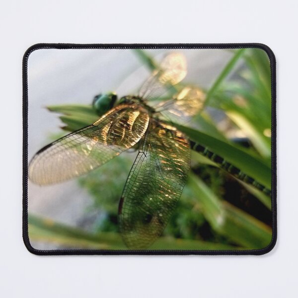 Item preview, On Golden Dragonfly Wings designed and sold by QueenBeeDieter.