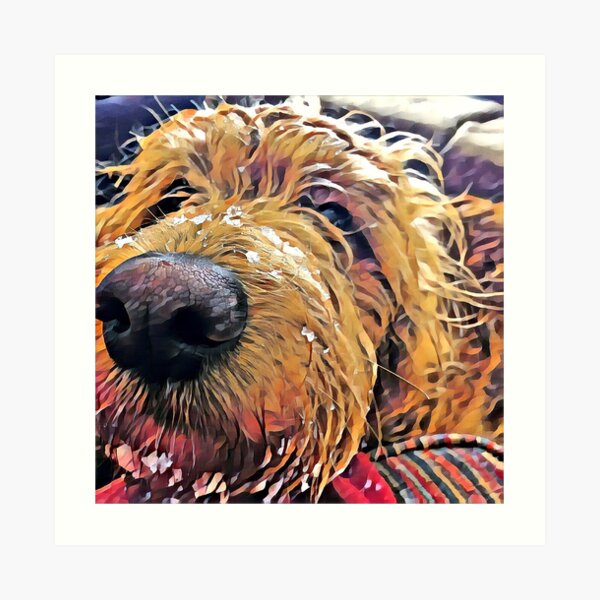 Puppy Wants to Play Art Print