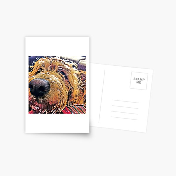 Puppy Wants to Play Postcard