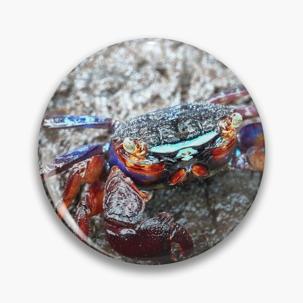 Item preview, Discover the mysterious Crab of the Forest Park of Pran Buri in Thailand designed and sold by franck380.