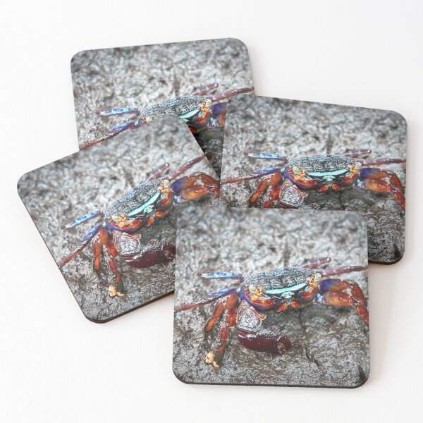 Item preview, Discover the mysterious Crab of the Forest Park of Pran Buri in Thailand designed and sold by franck380.