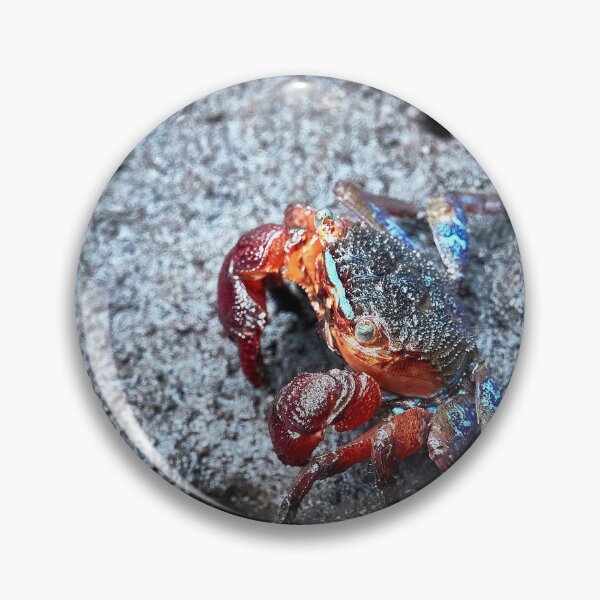 Item preview, Discover the mysterious Crab of the Forest Park of Pran Buri in Thailand designed and sold by franck380.