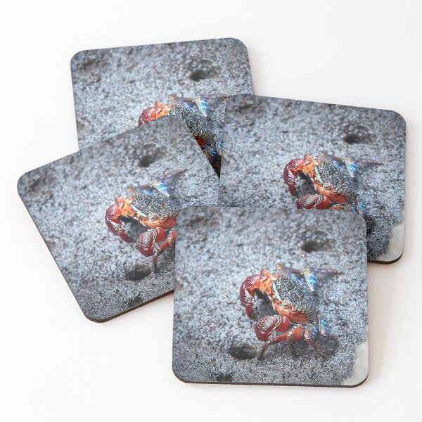 Item preview, Discover the mysterious Crab of the Forest Park of Pran Buri in Thailand designed and sold by franck380.