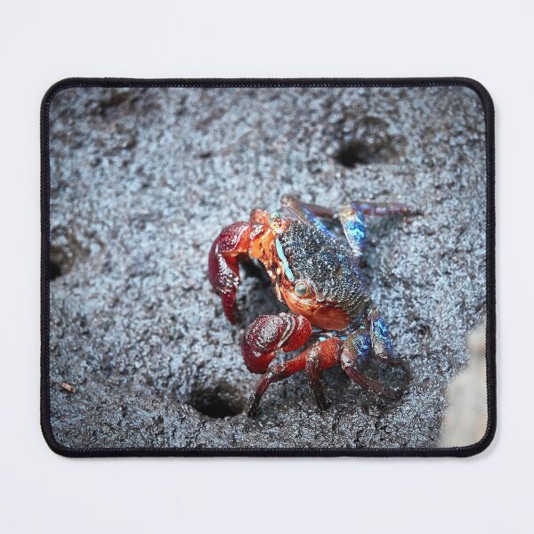 Item preview, Discover the mysterious Crab of the Forest Park of Pran Buri in Thailand designed and sold by franck380.