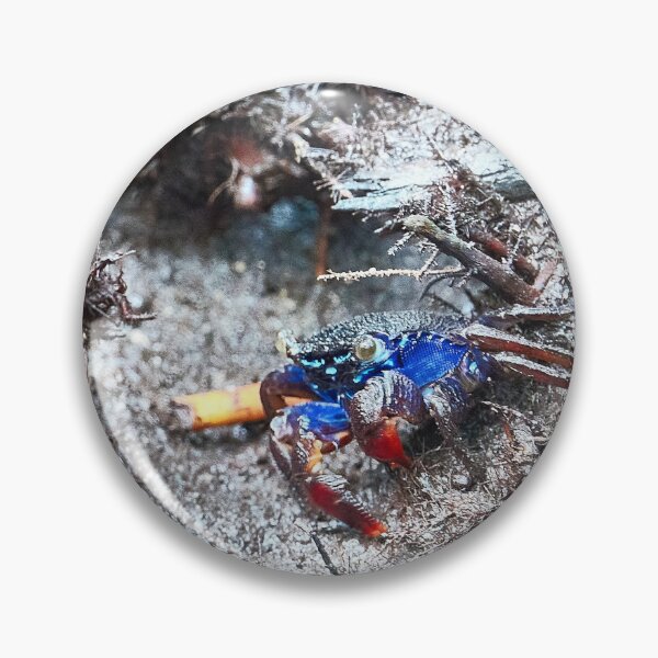 Item preview, Discover the mysterious Crab of the Forest Park of Pran Buri in Thailand designed and sold by franck380.