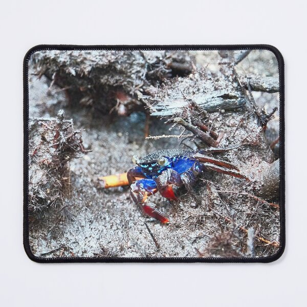 Item preview, Discover the mysterious Crab of the Forest Park of Pran Buri in Thailand designed and sold by franck380.