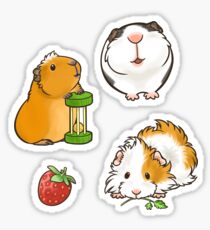 Guinea Pig set 1 Sticker