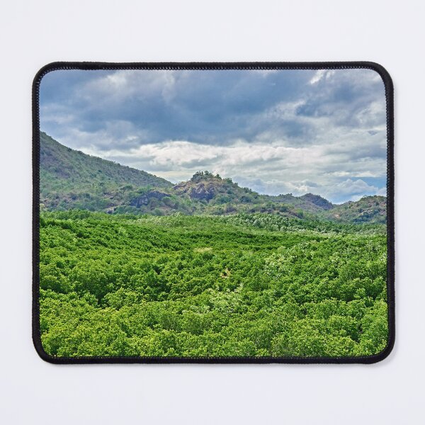 Item preview, Discover the majestic mangrove forest of Pran Buri Park in Thailand designed and sold by franck380.