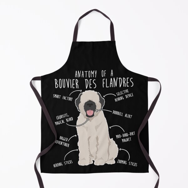 Item preview, Bouvier Des Flandres Fawn Cream Dog Anatomy designed and sold by Clara Hollins.