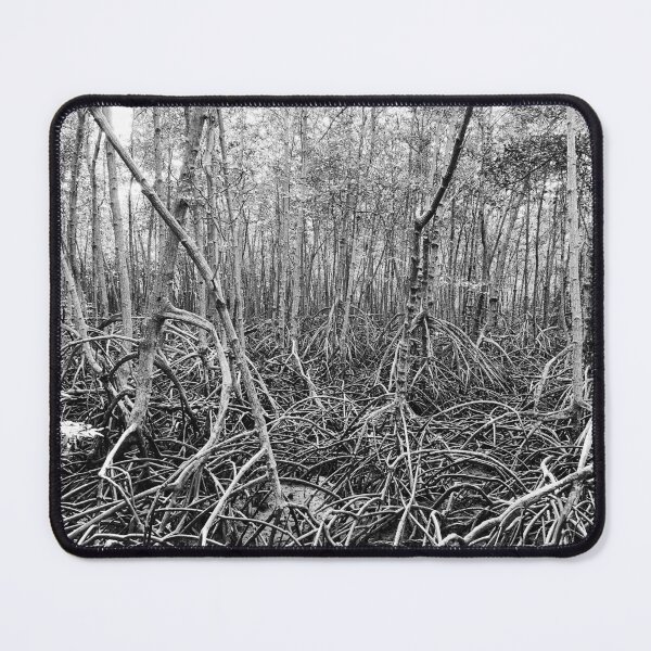 Item preview, Discover the majestic mangrove forest of Pran Buri Park in Thailand designed and sold by franck380.