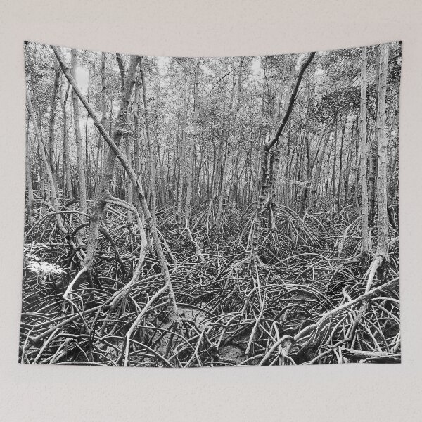 Item preview, Discover the majestic mangrove forest of Pran Buri Park in Thailand designed and sold by franck380.