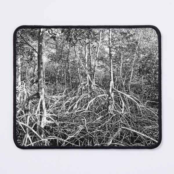 Item preview, Discover the majestic mangrove forest of Pran Buri Park in Thailand designed and sold by franck380.