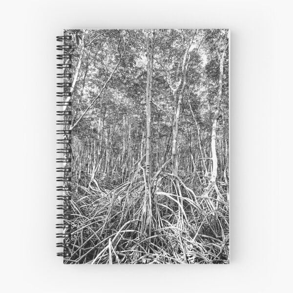 Item preview, Discover the majestic mangrove forest of Pran Buri Park in Thailand designed and sold by franck380.