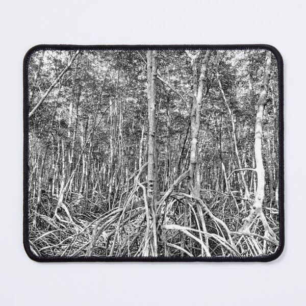 Item preview, Discover the majestic mangrove forest of Pran Buri Park in Thailand designed and sold by franck380.