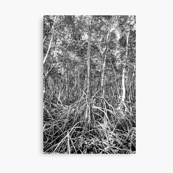 Dark Birch - Marco para pared de madera - A4 - Negro - Habitat - Habitat