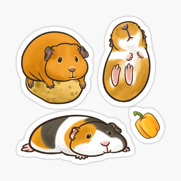 Featured image of post Printable Guinea Pig Stickers We print the highest quality guinea pig stickers on the if you love your pet guinea pig then this funny guinea pig shirt is just for you