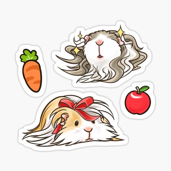 Guinea Pig set 3 Sticker