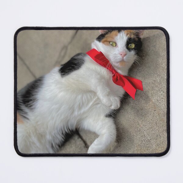Item preview, Concrete Plum designed and sold by plumtherascal.