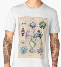 Echinoderms Plate Men's Premium T-Shirt