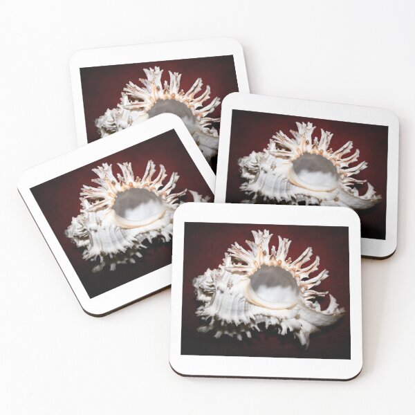 Item preview, Fluted Whorls of the Murex designed and sold by Shellgirlpearl.