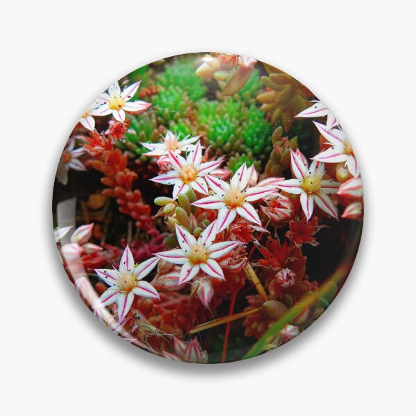 Item preview, Gorgeous Greek Wildflowers designed and sold by AussieAl.
