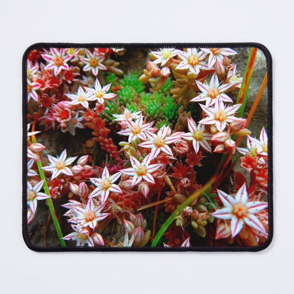 Item preview, Gorgeous Greek Wildflowers designed and sold by AussieAl.