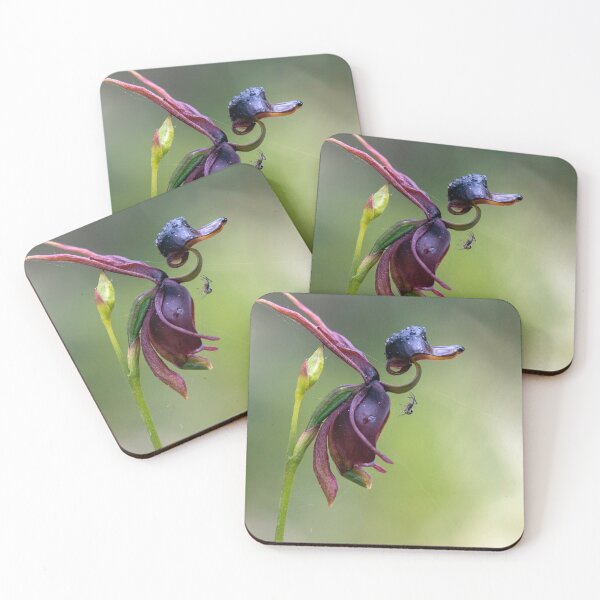Item preview, Duck Orchid designed and sold by Leeo.
